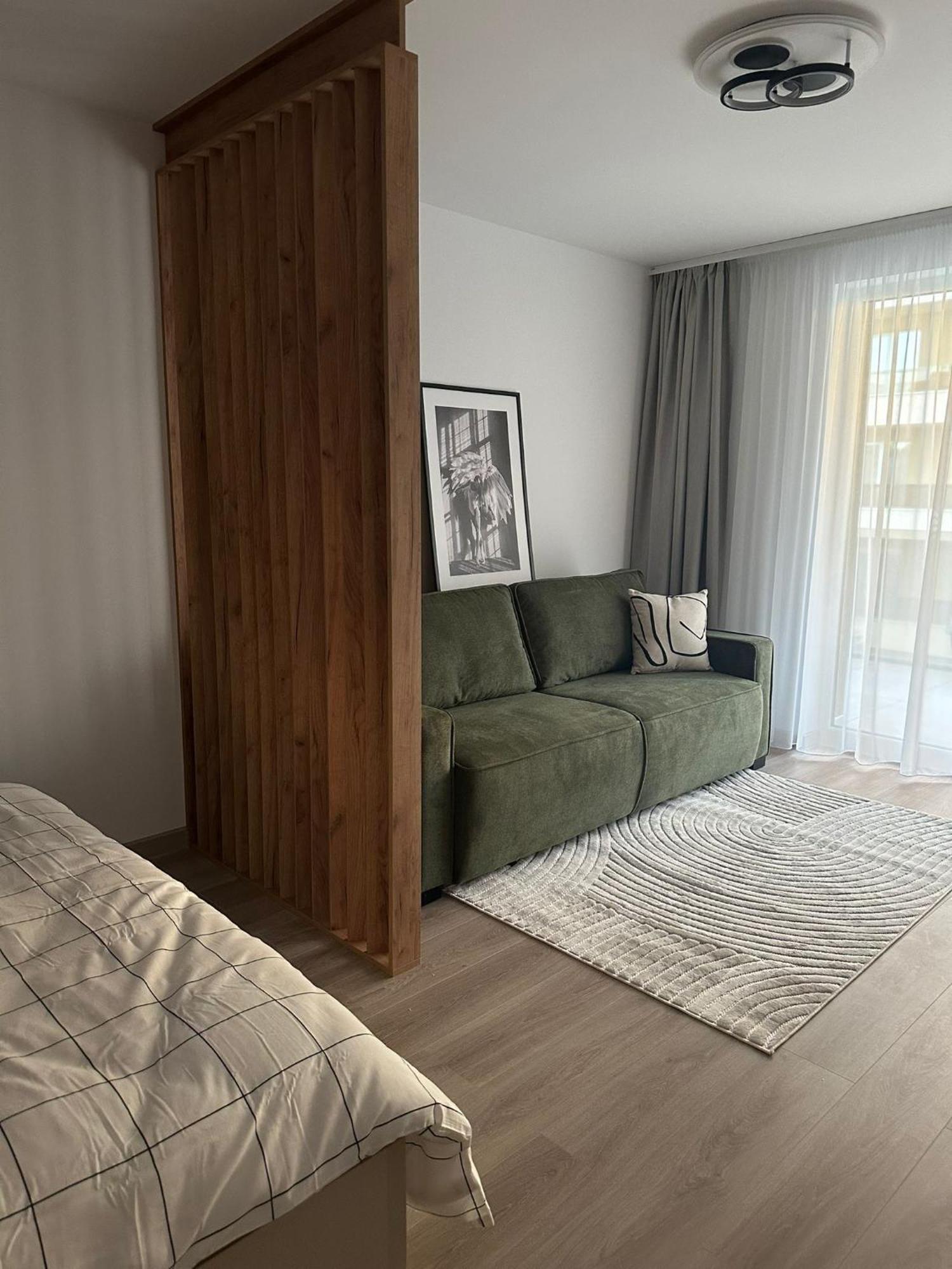 Carpathian Studio Brasov Exterior photo